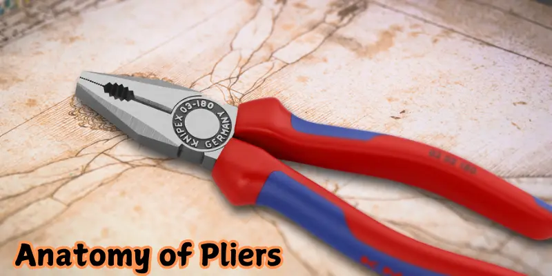 anatomy of pliers anatomy of pliers