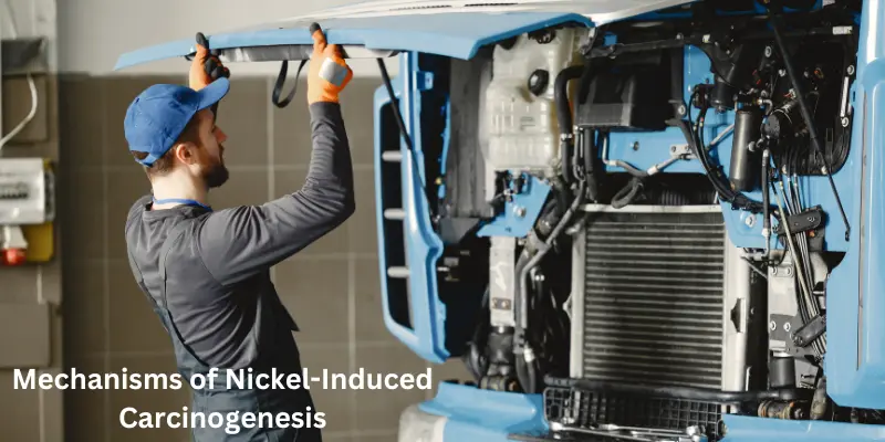 mechanisms of nickel induced carcinogenesis Mechanisms of Nickel-Induced Carcinogenesis
