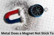 Metal Does a Magnet Not Stick To | Uses and Types
